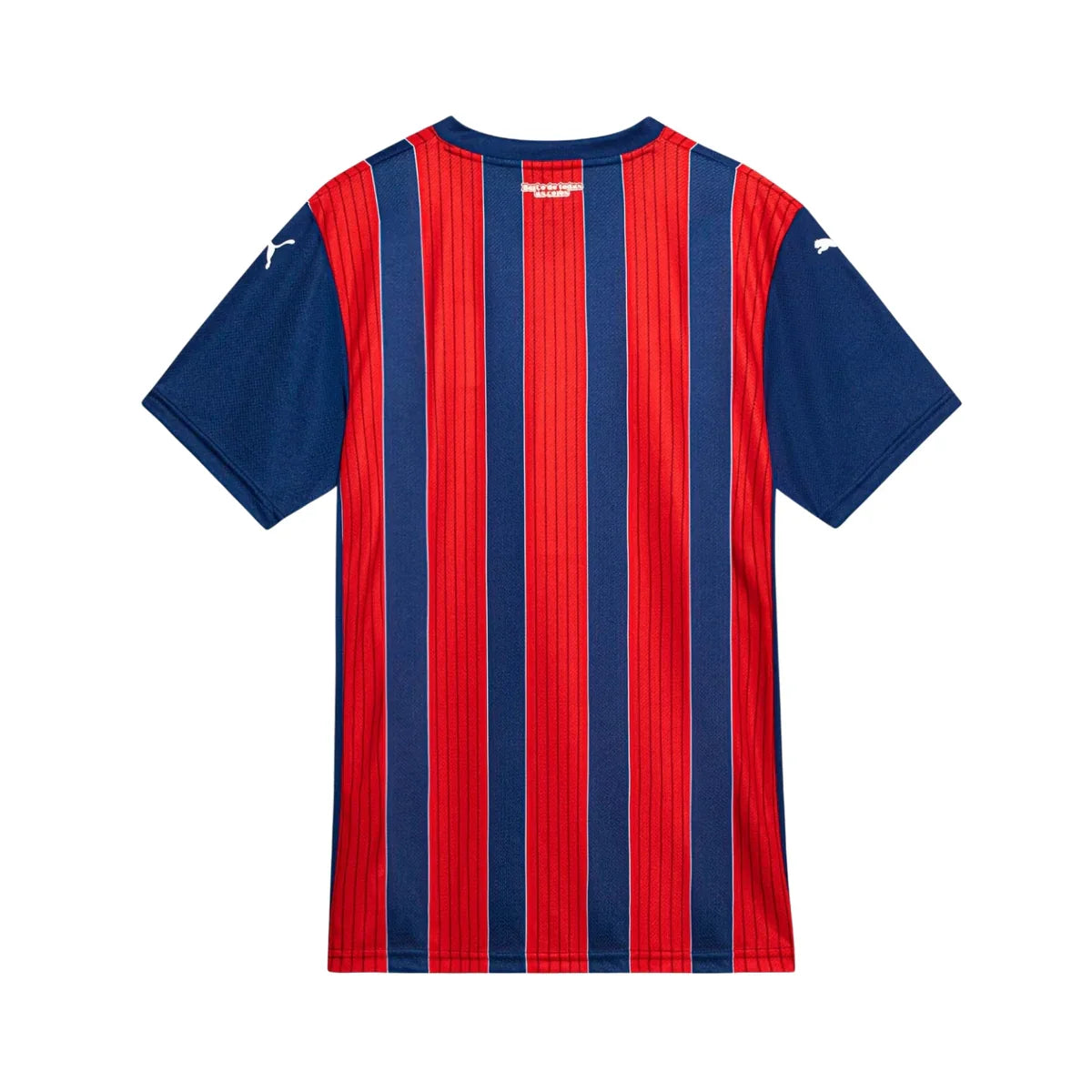 CAMISA DO BAHIA 25/26 VERMELHO E AZUL