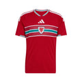 CAMISA DA SELEÇÃO DO PAIS DE GALES 26/27 VERMELHO
