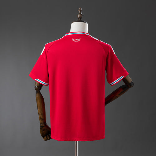 CAMISA DA SELEÇÃO DO PAIS DE GALES 26/27 VERMELHA