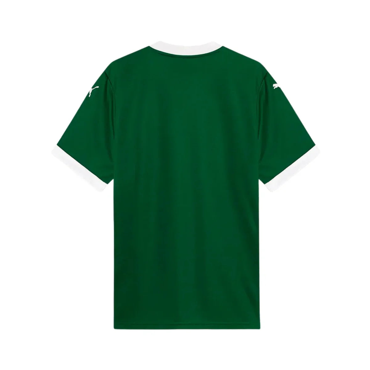 CAMISA DO PALMEIRAS 25/26 VERDE