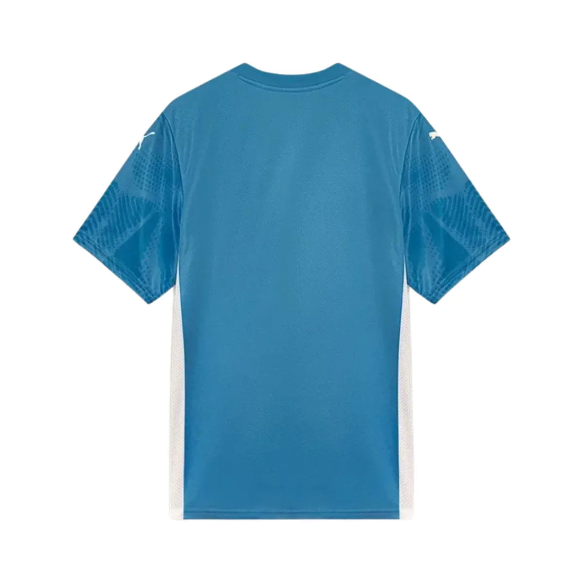 CAMISA DO PALMEIRAS 25/26 AZUL